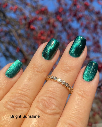 How Lovely Are Thy Branches