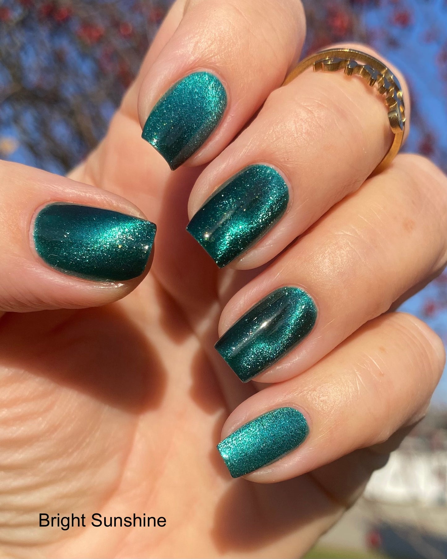 How Lovely Are Thy Branches