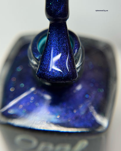 Winter's Darkest Night